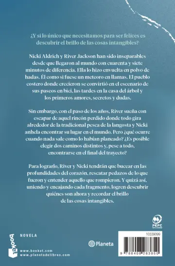 Contraportada Donde todo brilla