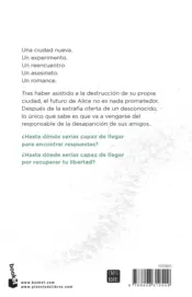 Miniatura contraportada Ciudades de cenizas. Edición especial con cantos decorados