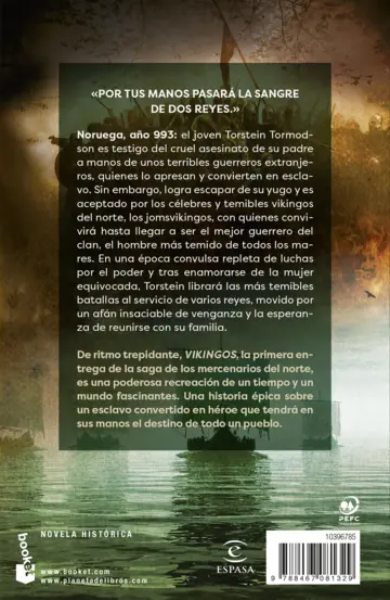 Contraportada Vikingos