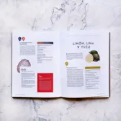 Portada Atlas de los sabores 3