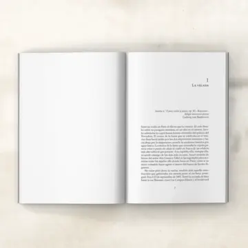 Imagen extra Sonó un violín en París 1