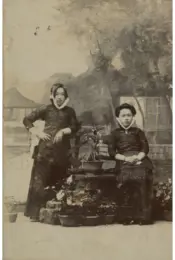 Portada El valle del asombro 8