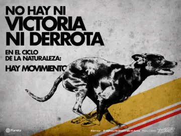 Imagen extra El manuscrito encontrado en Accra (edición ilustrada) 2