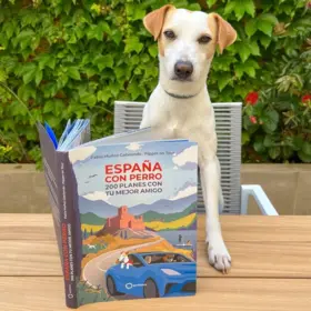 Imagen extra España con perro 2