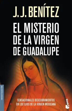 Portada El misterio de la Virgen de Guadalupe (NF)