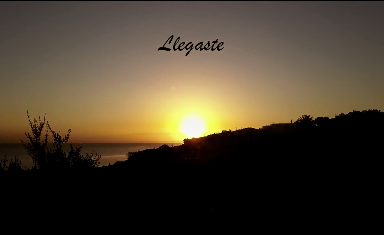 Videopoema - Llegaste