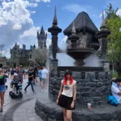 Imagen Rous Viviendo mil vidas