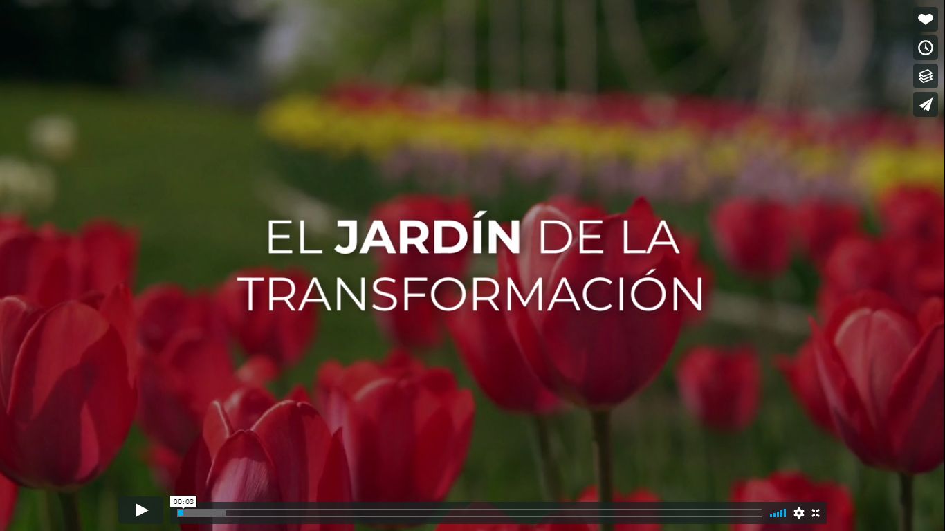 UNA MEDITACIÓN PARA SENTIRTE LIBRE – Capítulo 1