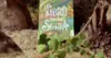 El Libro de la Selva - AUSTRAL INTRÉPIDA