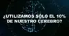 Mitos y verdades del cerebro