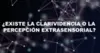 Mitos y verdades del cerebro (segunda parte)